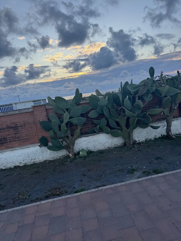 Route to Via Porto Recanati, Fiumicino