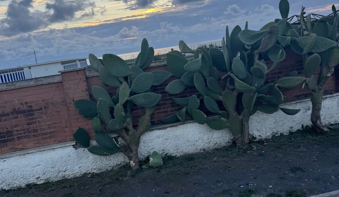 Photo 2 of the Bikemap route "Route to Via Porto Recanati, Fiumicino"