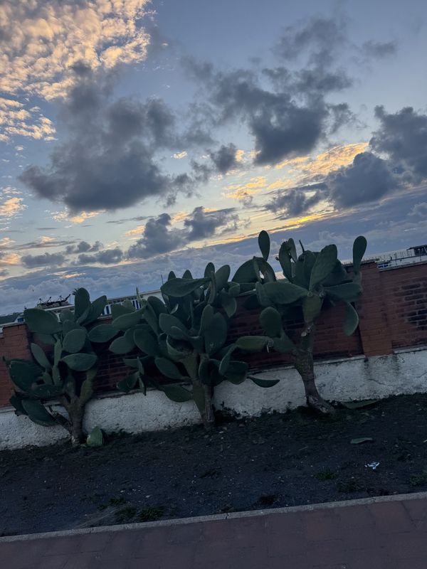 Route to Via Porto Recanati, Fiumicino