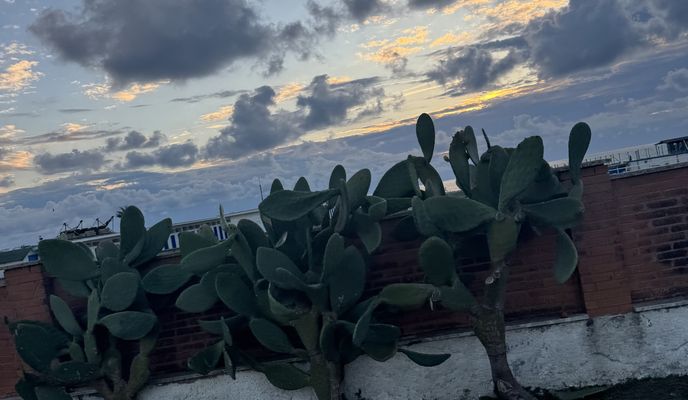 Photo 1 of the Bikemap route "Route to Via Porto Recanati, Fiumicino"