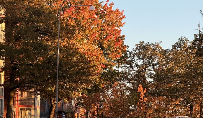 Foto 1 der Bikemap-Route "around the around" Foto 1 der Bikemap-Route "around the around"