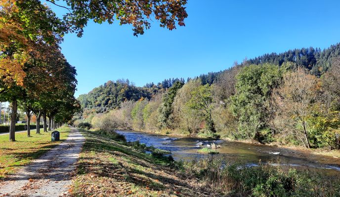 Photo 2 of the Bikemap route "Kirchzarten"