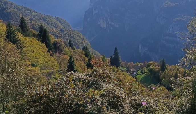 Foto 2 der Bikemap-Route "Da Via Papa Luciani a Via Papa Luciani" Foto 2 der Bikemap-Route "Da Via Papa Luciani a Via Papa Luciani"