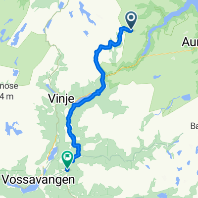 Vik - Voss