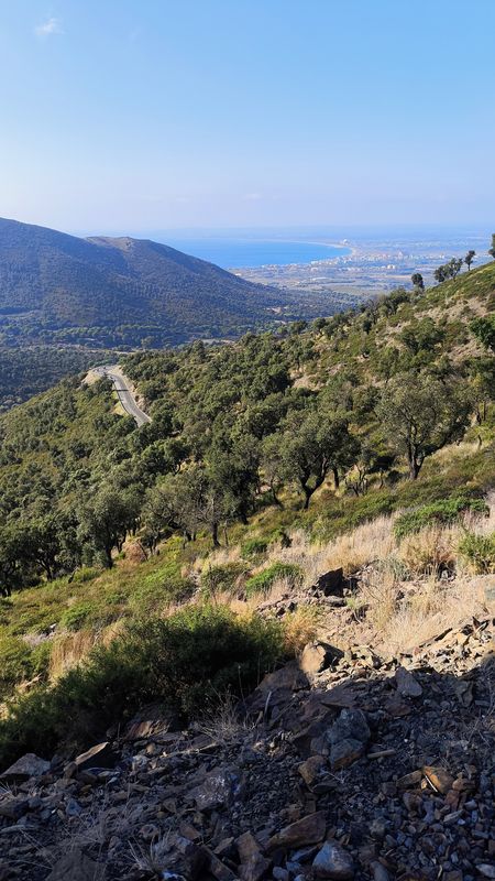 17 Roses Can-Berta Mas-Estela La-Selva-de-Mar Port-de-la-Selva Puignau Mas-Vell Mas-Bufadors Perafita Peni Puig-Alt FrĂ gam