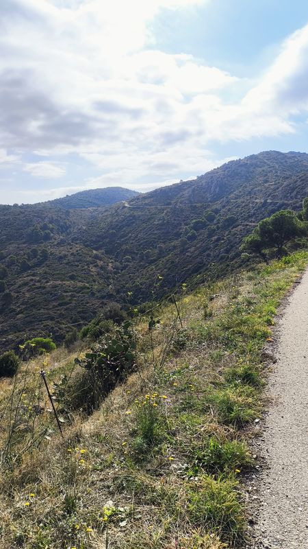 17 Roses Can-Berta Mas-Estela La-Selva-de-Mar Port-de-la-Selva Puignau Mas-Vell Mas-Bufadors Perafita Peni Puig-Alt FrĂ gam