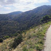 17 Roses Can-Berta Mas-Estela La-Selva-de-Mar Port-de-la-Selva Puignau Mas-Vell Mas-Bufadors Perafita Peni Puig-Alt Fràgam