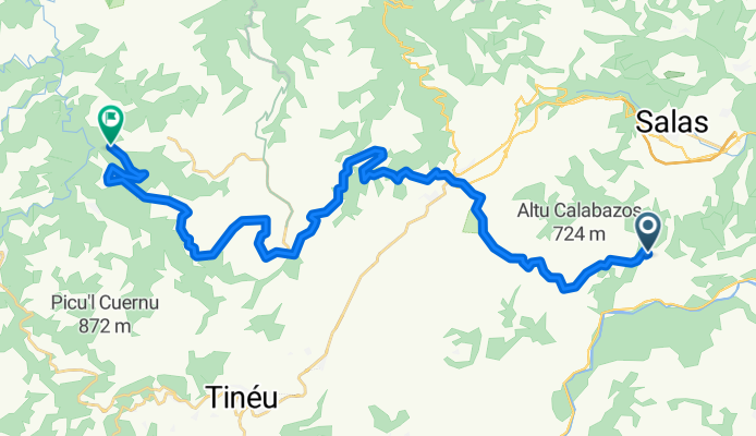 Salas - Tineo