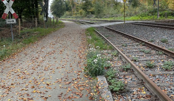 Foto 1 der Bikemap-Route "Kurt-Oeser-Weg, Mörfelden-Walldorf nach Lyoner Straße, Frankfurt am Main"