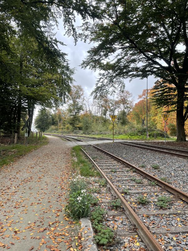 Kurt-Oeser-Weg, Mörfelden-Walldorf nach Lyoner Straße, Frankfurt am Main