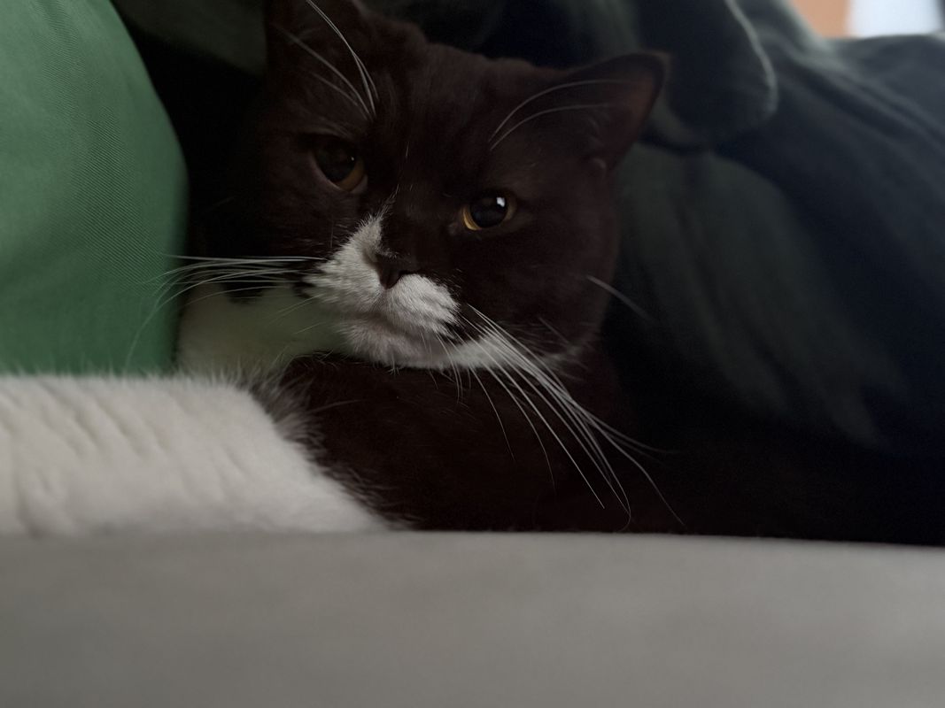 Mezi potoky, Praha 15 do Bojov, Čisovice