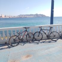 Avenida L'Aigüera to C. Llaut