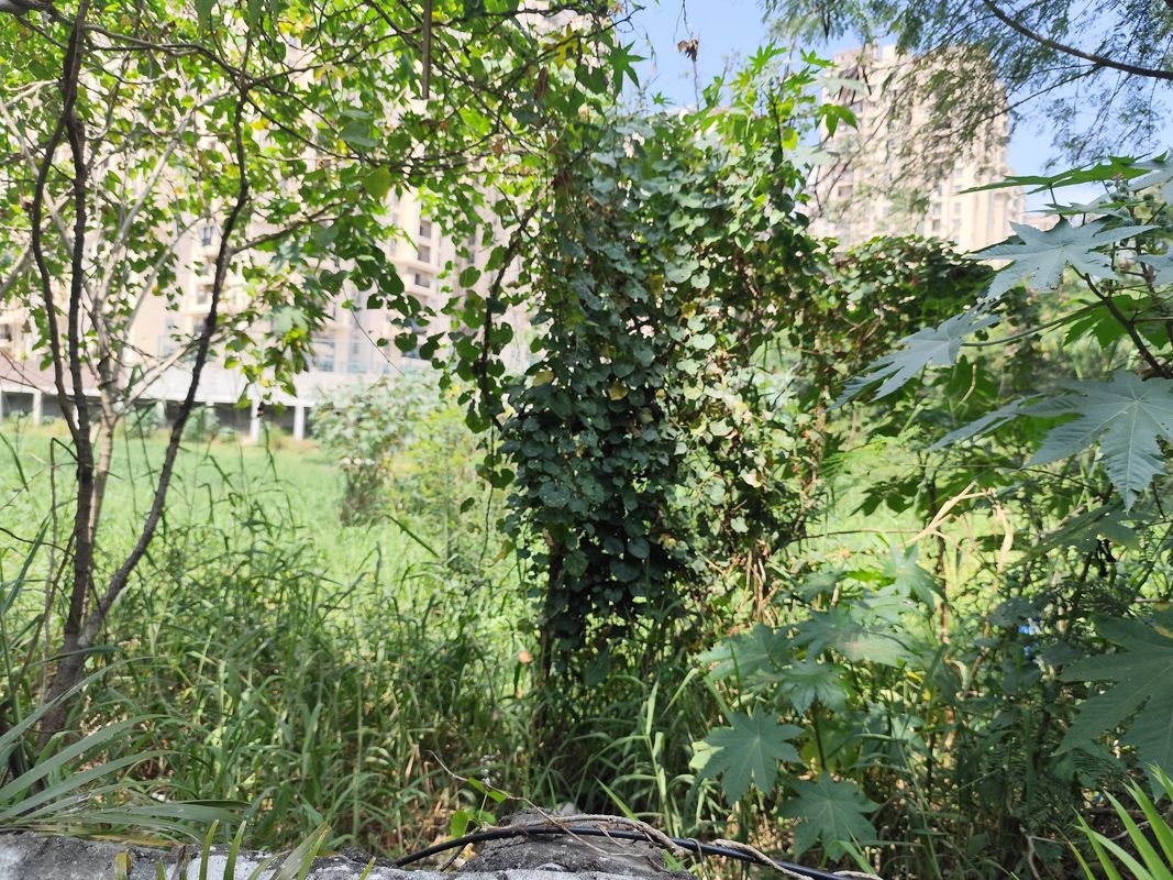 Gulshan Colony to Hyderabad