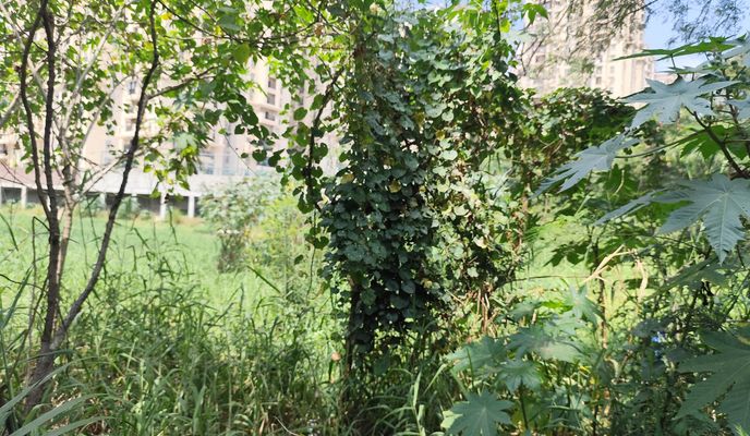 Photo 2 de l’itinéraire Bikemap « Gulshan Colony to Hyderabad »