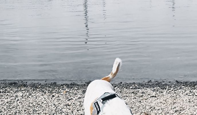 Zdjęcie 2 trasy Bikemap „Zsolt Nándor utca - Zsolt Nándor utca”