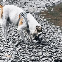 Zdjęcie 7 trasy Bikemap „Zsolt Nándor utca - Zsolt Nándor utca”