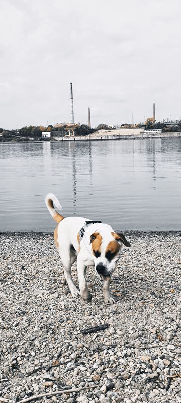 Zsolt Nándor utca - Zsolt Nándor utca