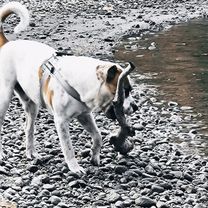 Zdjęcie 8 trasy Bikemap „Zsolt Nándor utca - Zsolt Nándor utca”