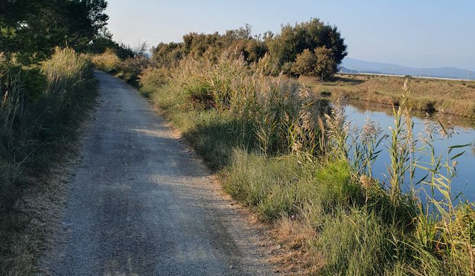 Zdjęcie 1 trasy Bikemap „16.10.25 Narbonne Port-La-Nouvelle”