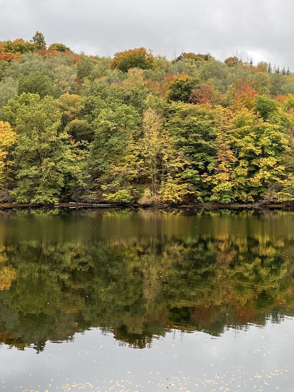 FeWo Sonnenschein - Oberseerunde