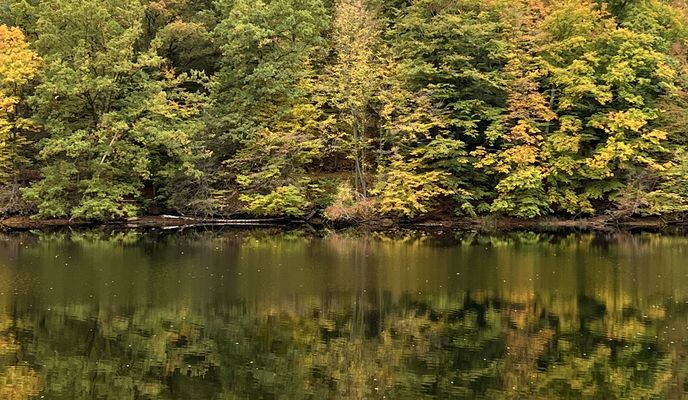 Zdjęcie 1 trasy Bikemap „FeWo Sonnenschein - Oberseerunde”