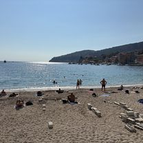 Les Fleurs, Nice à Rue Bavastro, Nice