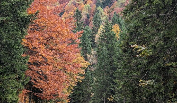 Foto 1 der Bikemap-Route "Sella Nevea / 16.10.2025" Foto 1 der Bikemap-Route "Sella Nevea / 16.10.2025"