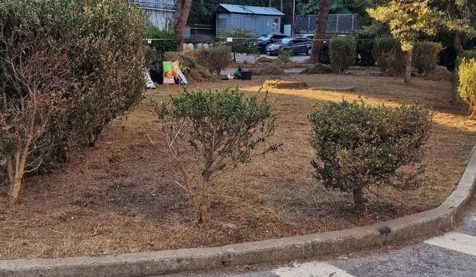 Foto 1 del percorso Bikemap "Da Via Don Mario Pertica a Via al Garbo 2F"