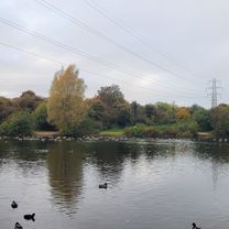 Red Kite Crescent to Red Kite Crescent
