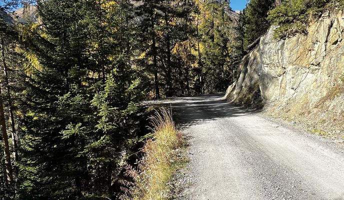 Foto 1 de la ruta de Bikemap "Sur Prassuoir, Lavin nach Via Spuondas, St. Moritz"