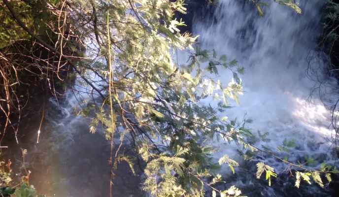 Foto 1 der Bikemap-Route "salto jepe"