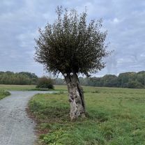 Lyoner Straße, Frankfurt am Main nach B43, Raunheim