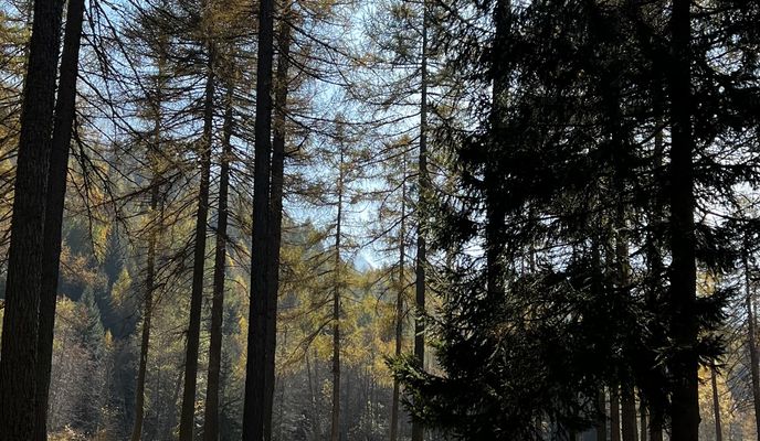 Foto 2 de la ruta de Bikemap "Via Spuondas, St. Moritz nach Via Roticcio, Vicosoprano"