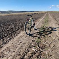 Photo 7 of the Bikemap route "Str. Margaretelor to Str. Libertății"