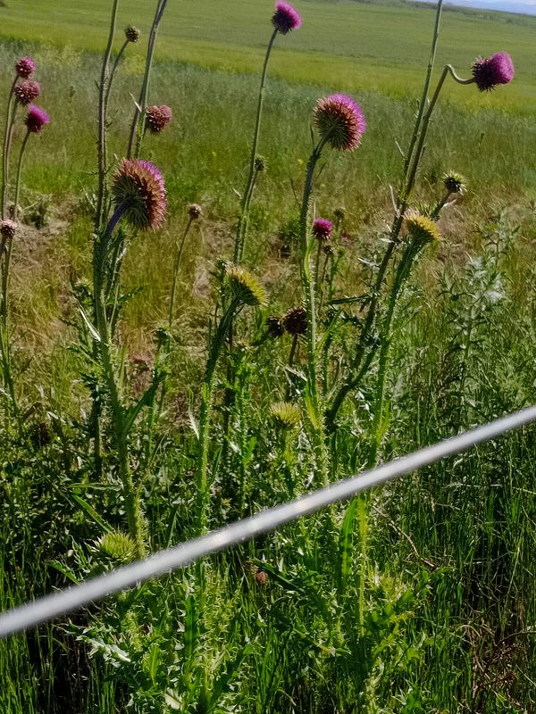 Bahía Blanca 🚴🏻‍♀️ Escuelita
