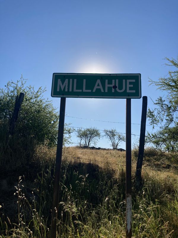 Ruta H-516, Quinta de Tilcoco a Tomás Argomedo, Quinta de Tilcoco