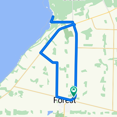 Route in Forest