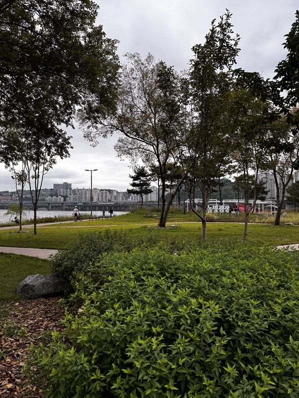 μ μ²λ, μμΈνΉλ³μμμ μ μ²λ, μμΈνΉλ³μκΉμ§