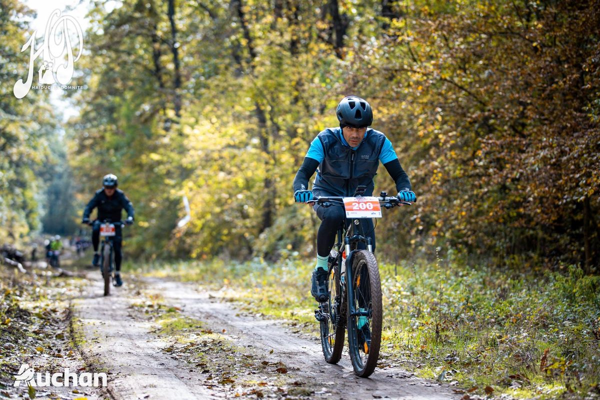 haiduci Či domnite 18.10