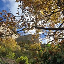 Zdjęcie 8 trasy Bikemap „Am Freilinger See nach K69”