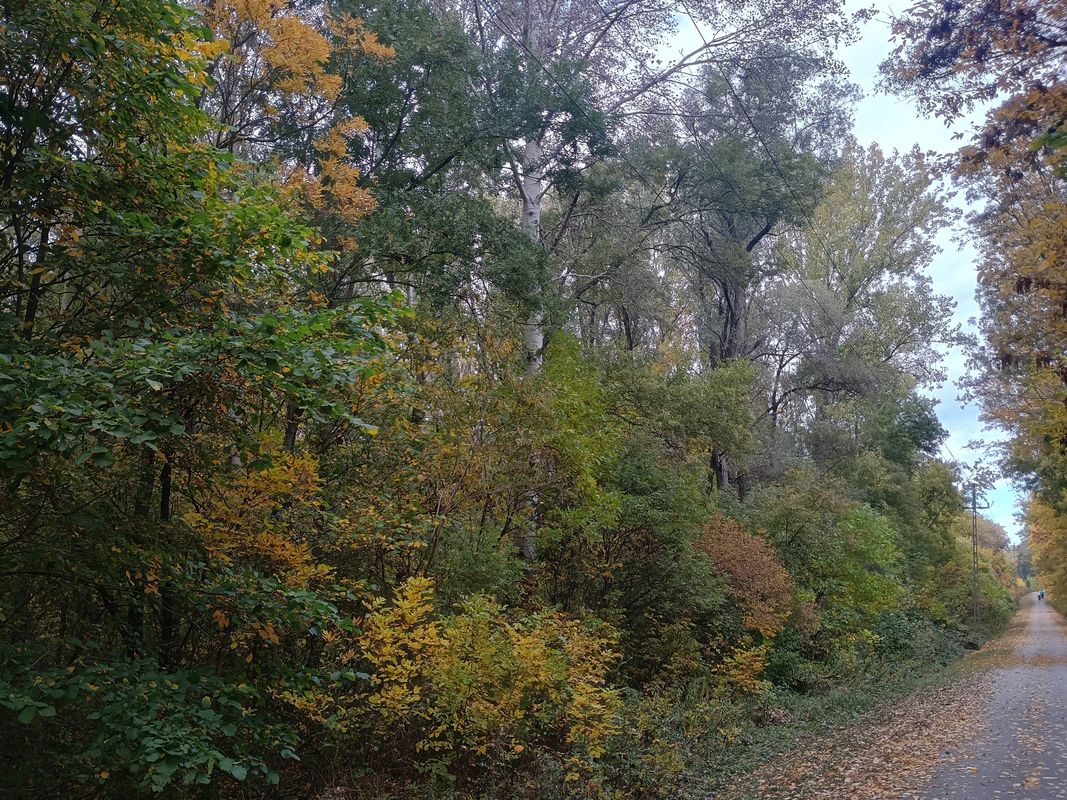 Tél utca - Tél utca