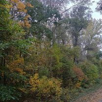 Tél utca - Tél utca