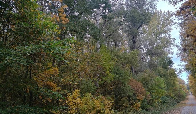 Photo 1 of the Bikemap route "Tél utca - Tél utca"