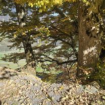 Photo 7 of the Bikemap route "Englerweg 4a nach Lengenacherstrasse" Photo 7 of the Bikemap route "Englerweg 4a nach Lengenacherstrasse"