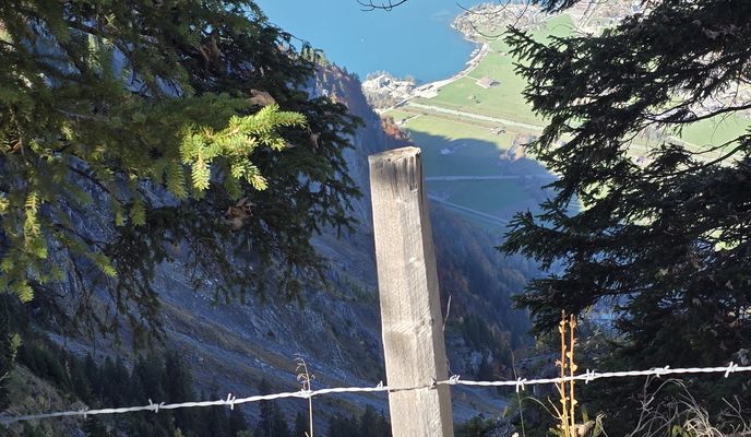 Photo 1 of the Bikemap route "Englerweg 4a nach Lengenacherstrasse" Photo 1 of the Bikemap route "Englerweg 4a nach Lengenacherstrasse"