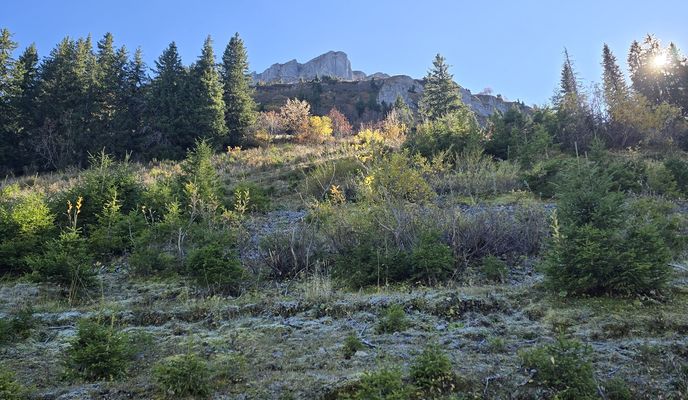 Photo 2 of the Bikemap route "Englerweg 4a nach Lengenacherstrasse" Photo 2 of the Bikemap route "Englerweg 4a nach Lengenacherstrasse"