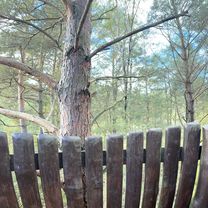 przy Torze, Krokowa do Morska, Dębki