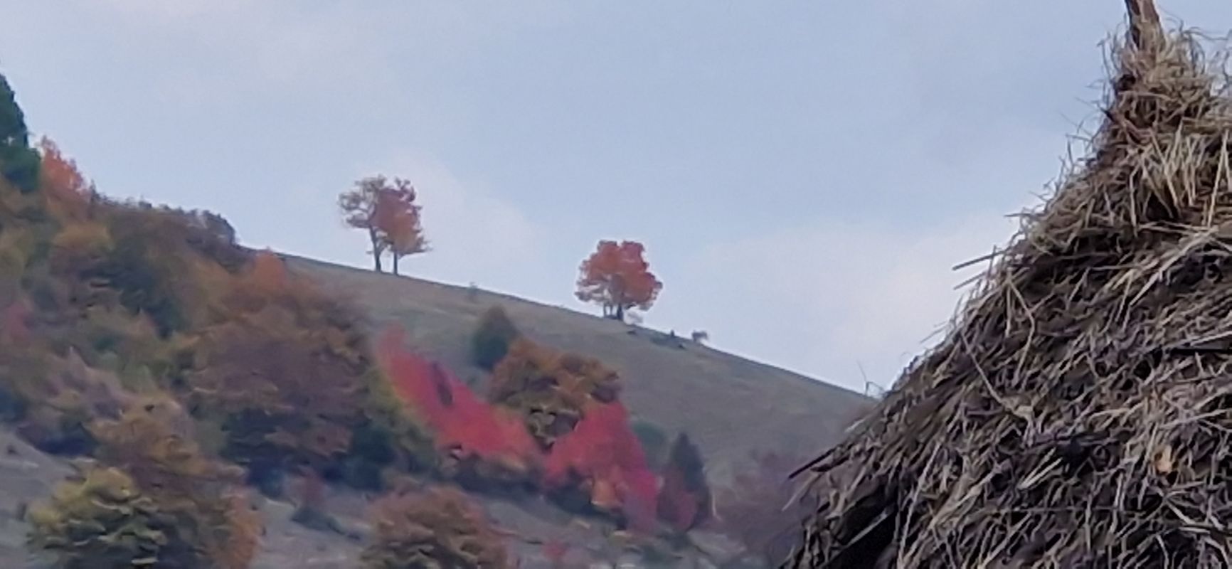 Via Transilvanica. Terra Romana. Crusovat-Poiana Lunga- Priscina