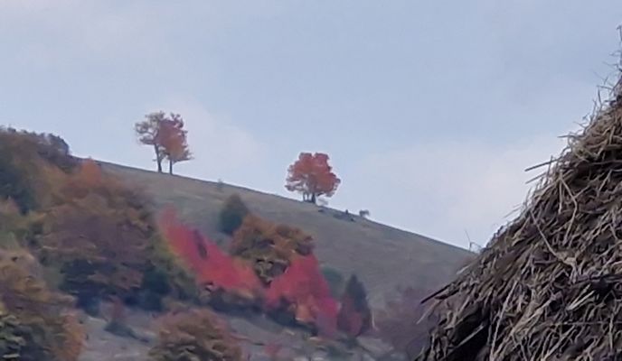 Photo 1 de l’itinéraire Bikemap « Via Transilvanica. Terra Romana. Crusovat-Poiana Lunga- Priscina »