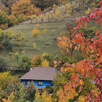 Photo 7 de l’itinéraire Bikemap « Via Transilvanica. Terra Romana. Prisacina- Inelet- Valea Cernei- Obarsia Closani »